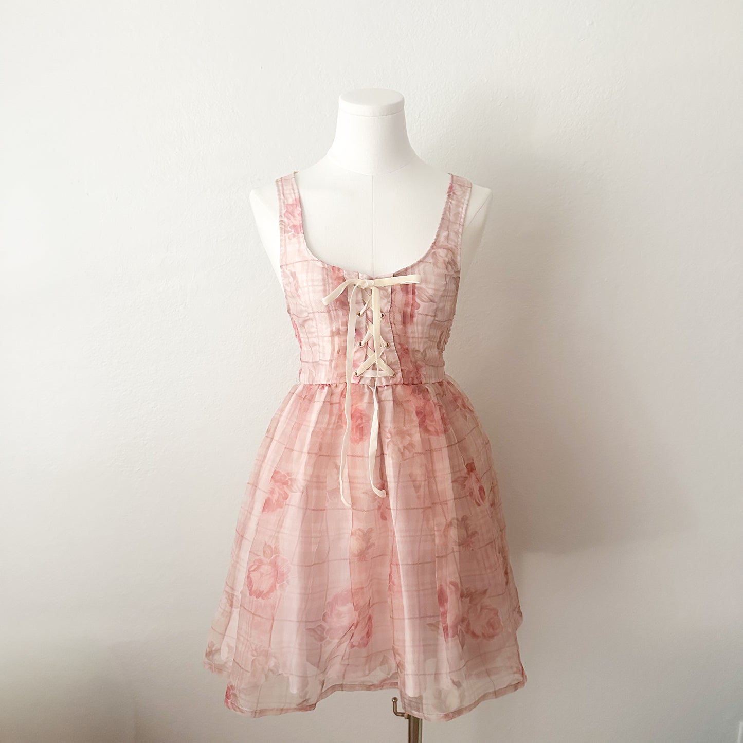 Lizlisa Rose Garden Corset Dress