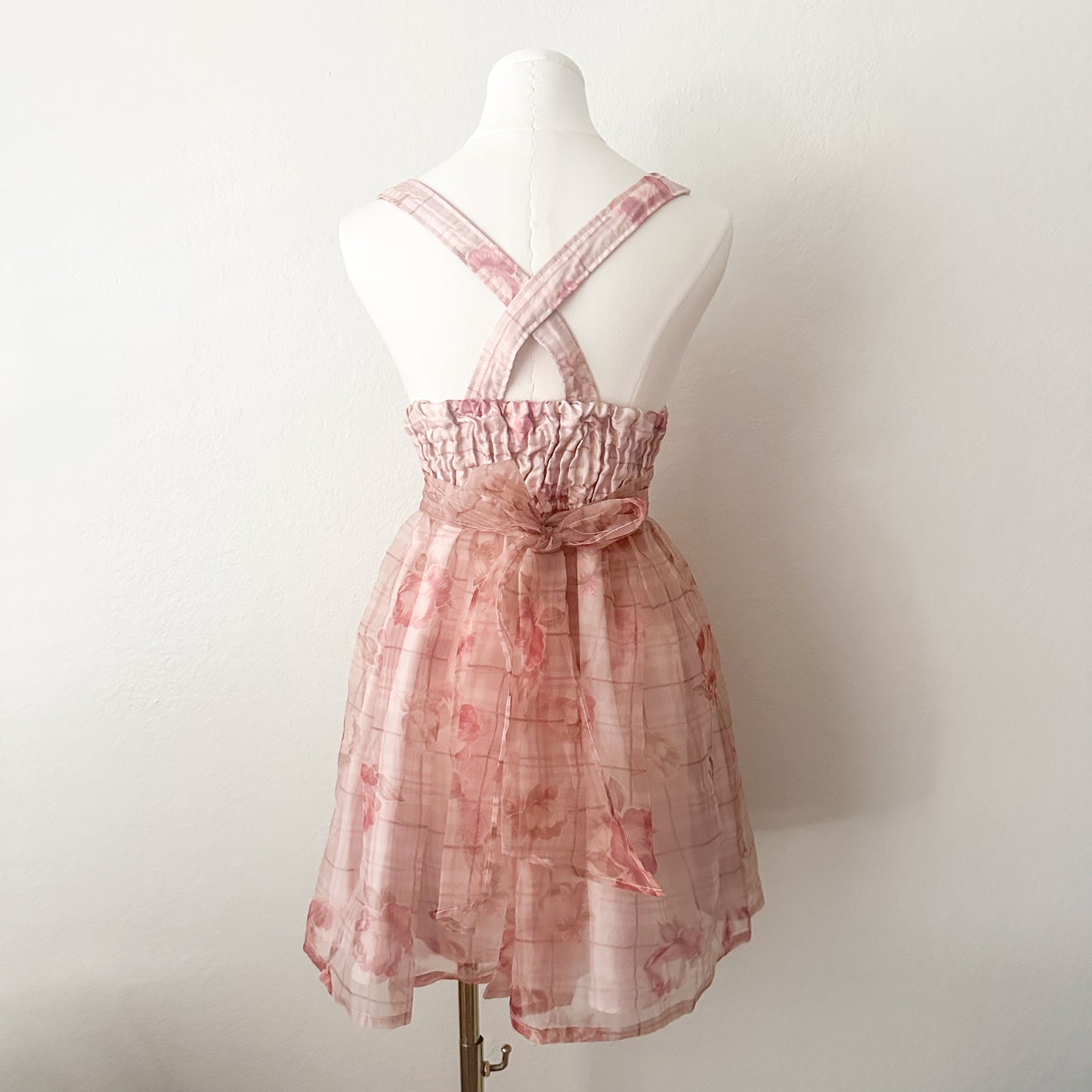 Lizlisa Rose Garden Corset Dress