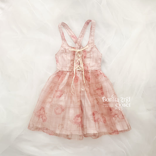 Lizlisa Rose Garden Corset Dress