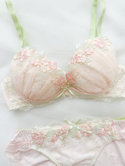 Blush Garden Lace Bra Set