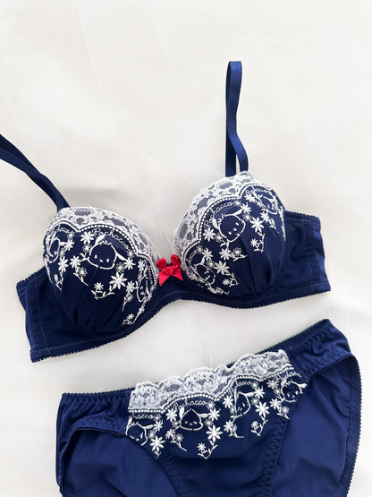 Pochaco Embroidery Lace Bra Set
