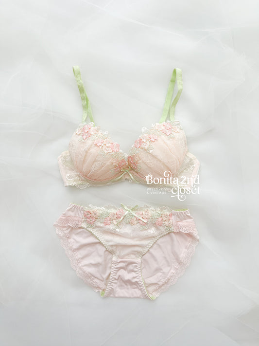 Blush Garden Lace Bra Set