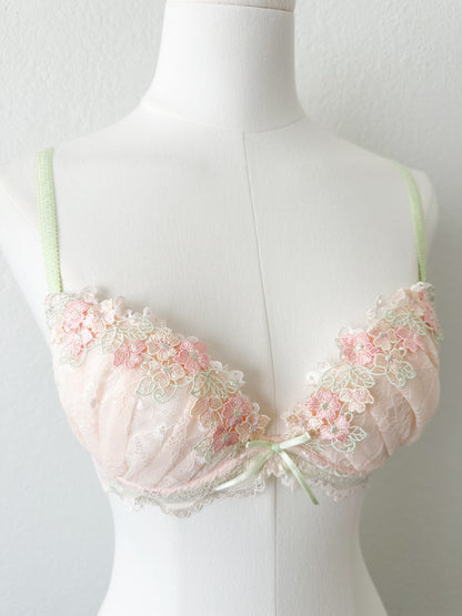 Blush Garden Lace Bra Set